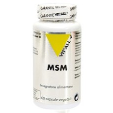 MSM Metilsulfonilmetano cps